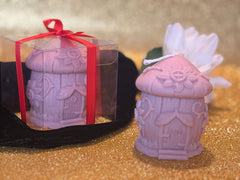 Edición Navidad 26 SETA CASA