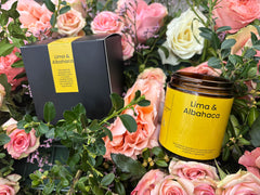 Lima y albahaca