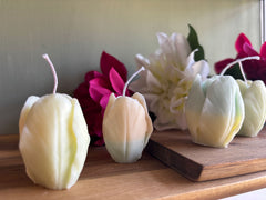 Vela tulipán