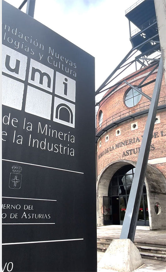 Raiz Salvaje en el MUMI