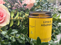 Lima y albahaca